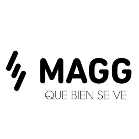 Magg (Electro Magg)